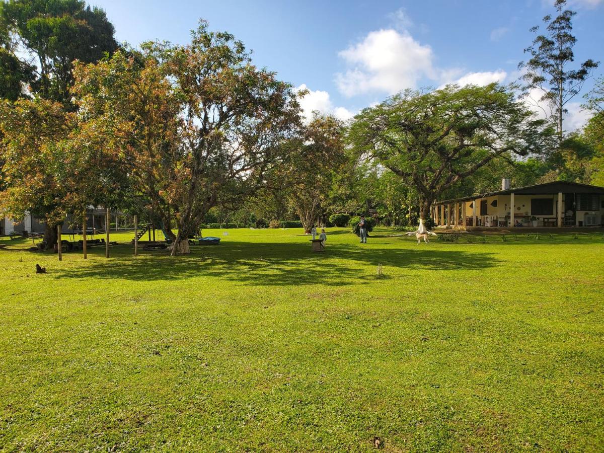 Ecoisa De Chacara - Casa De Vidro, Casa De Campo Morretes Bagian luar foto