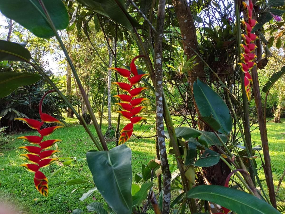 Ecoisa De Chacara - Casa De Vidro, Casa De Campo Morretes Bagian luar foto