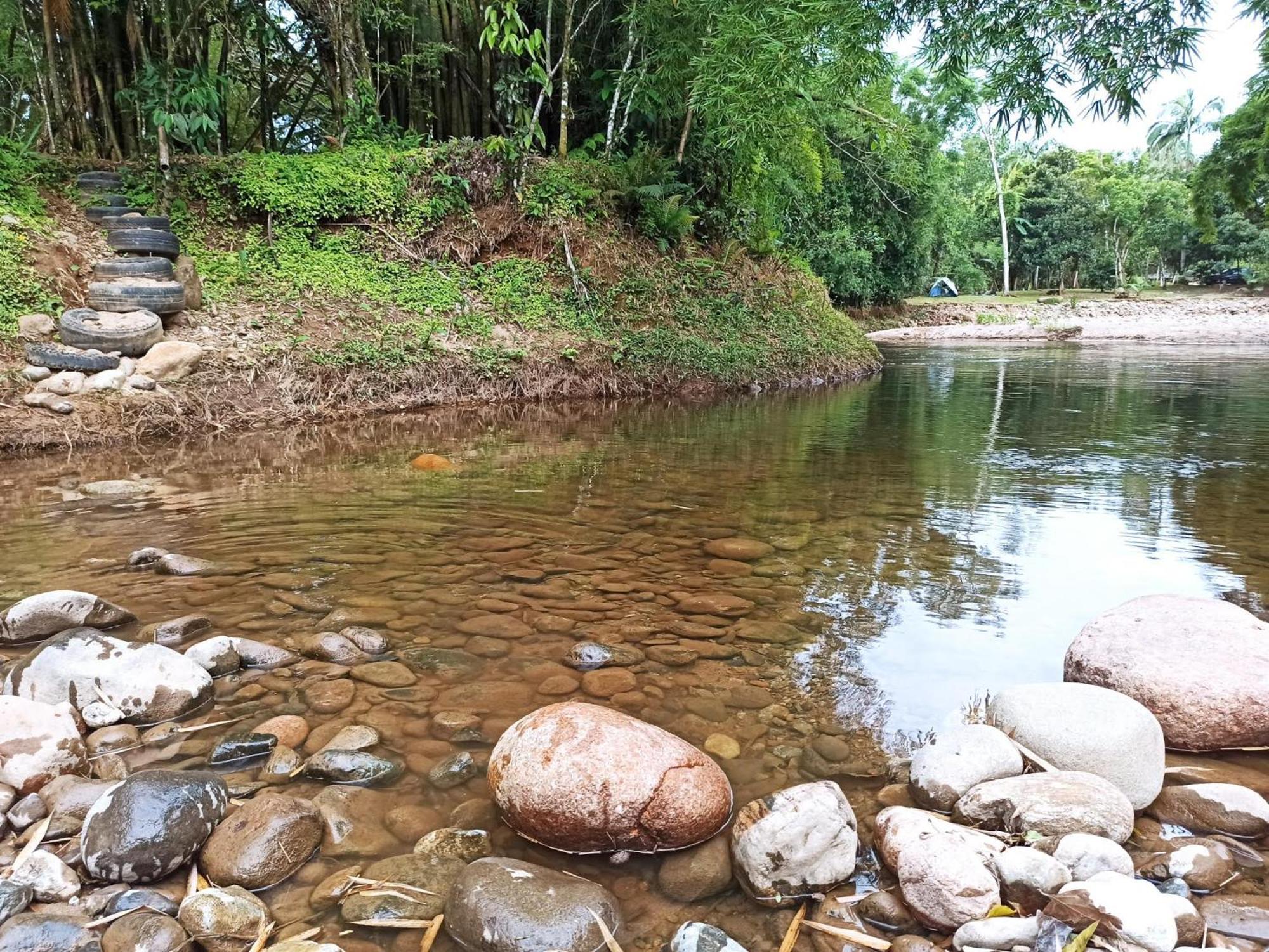 Ecoisa De Chacara - Casa De Vidro, Casa De Campo Morretes Bagian luar foto