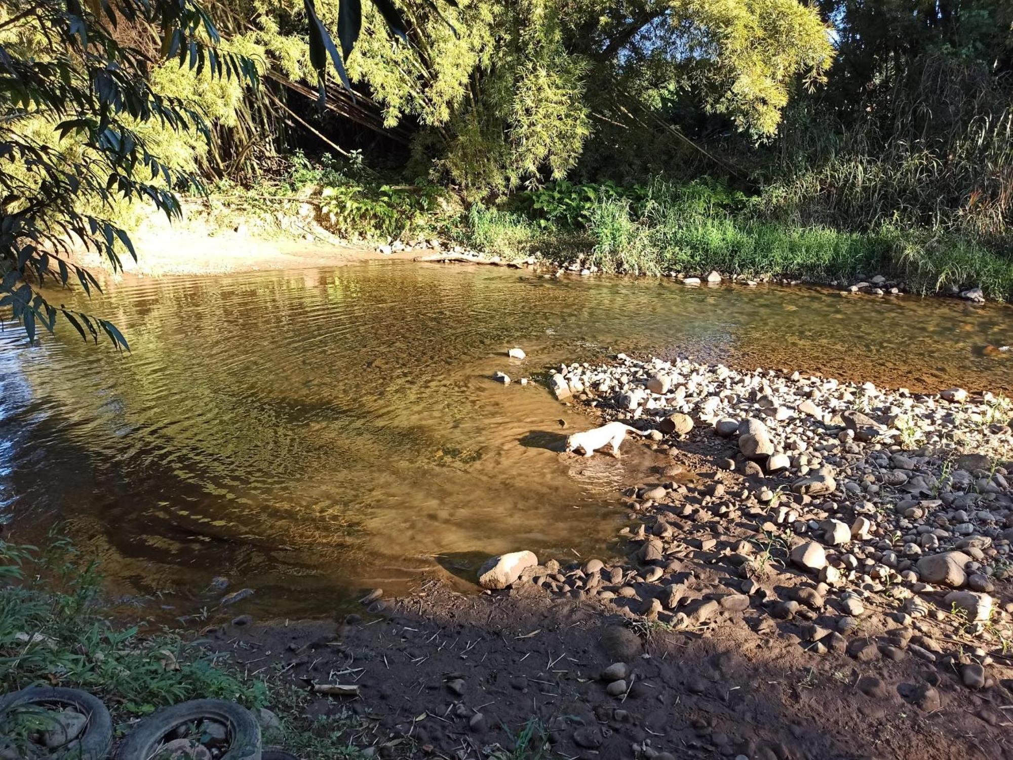 Ecoisa De Chacara - Casa De Vidro, Casa De Campo Morretes Bagian luar foto